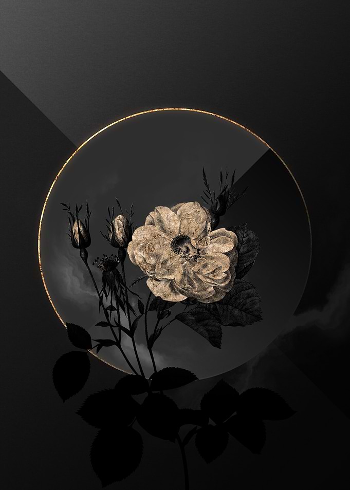 Shadow Rose Black and Gold