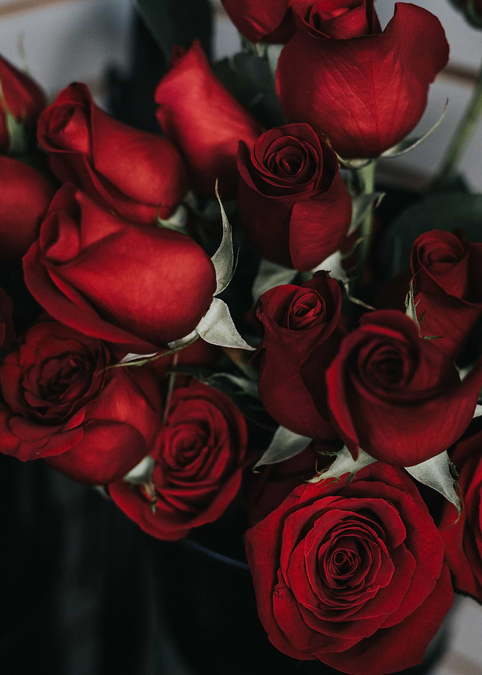 Bouquet Of Red Roses