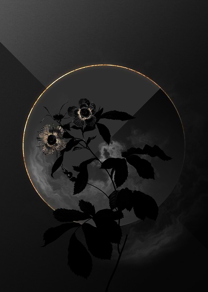 Dark Roses Black and Gold