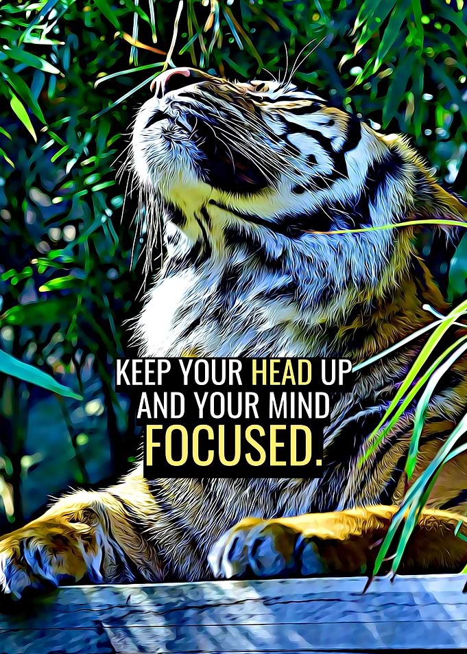 Head up and focused