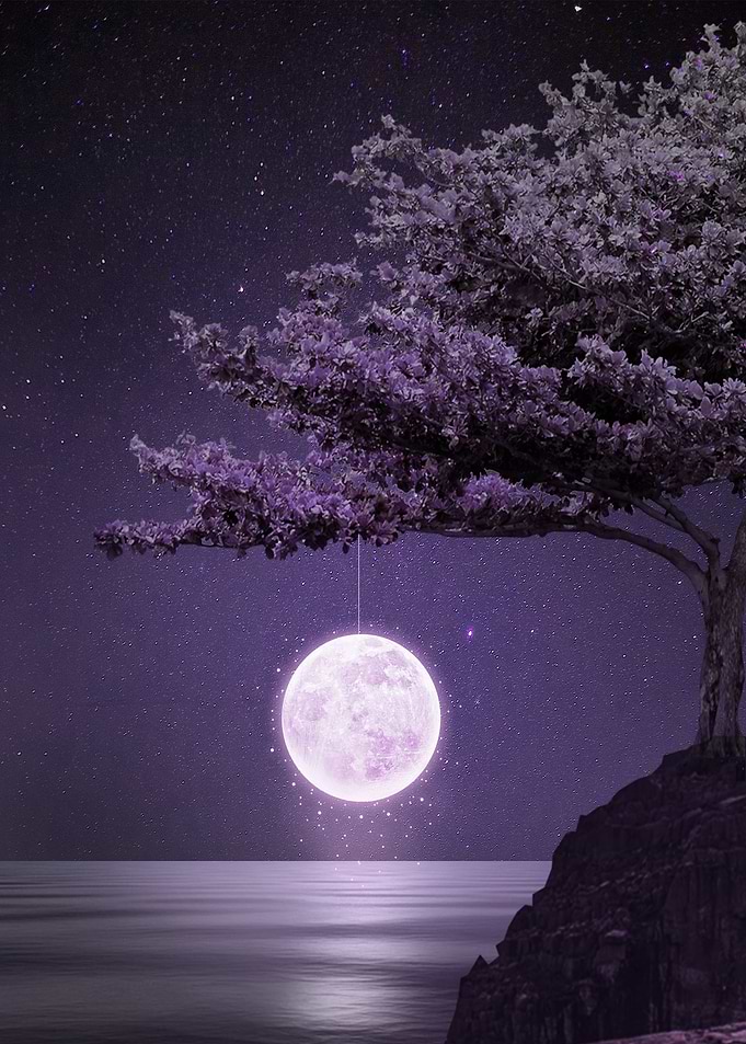 Tree by the Moonlight Sea