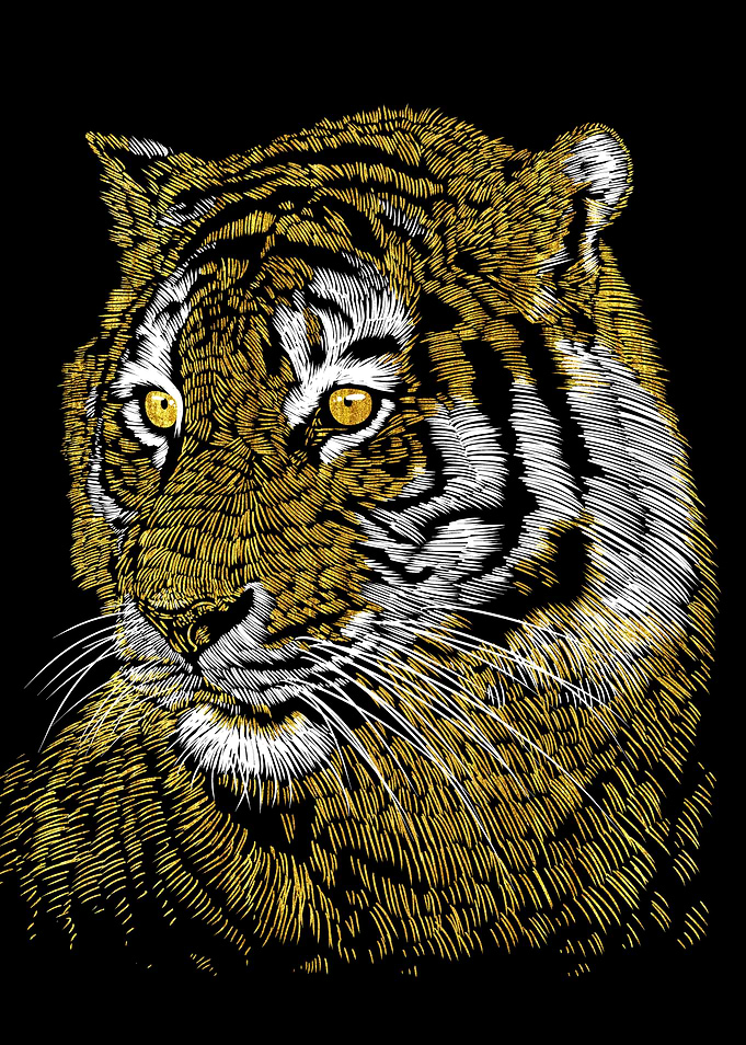 Tiger Gold