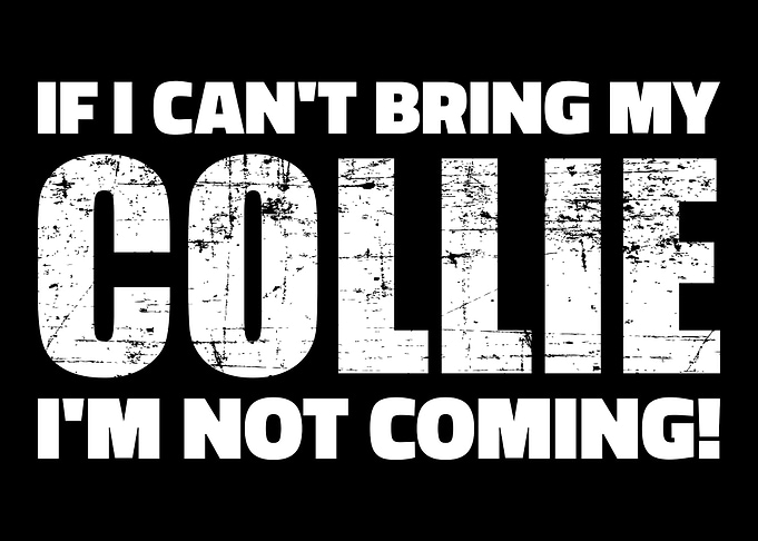Collie