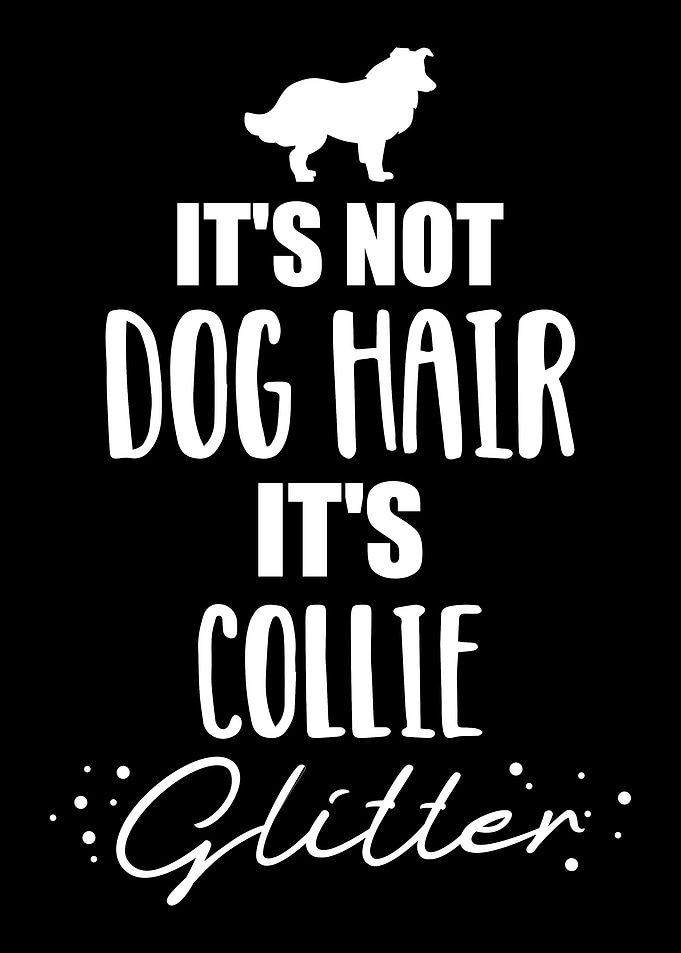 Collie
