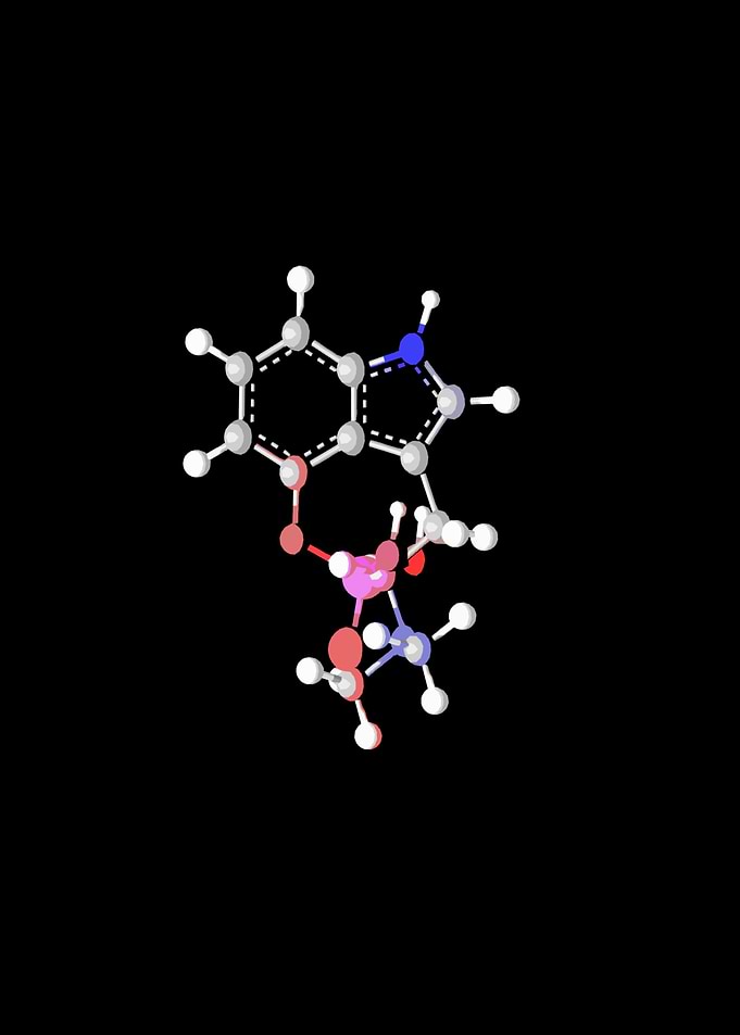 Psilocybin