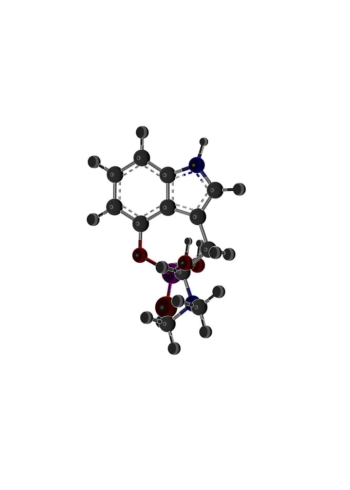 Psilocybin