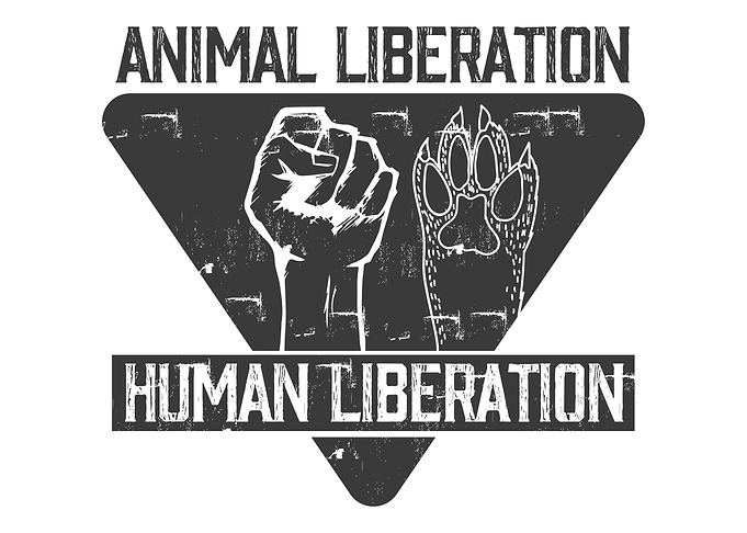 Human Liberation Black R