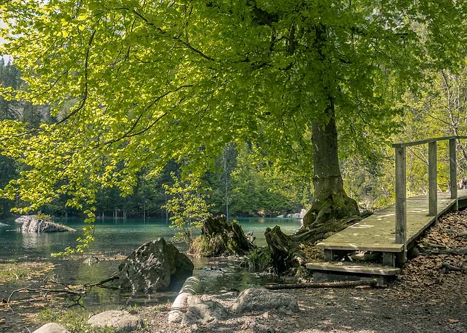 Nature