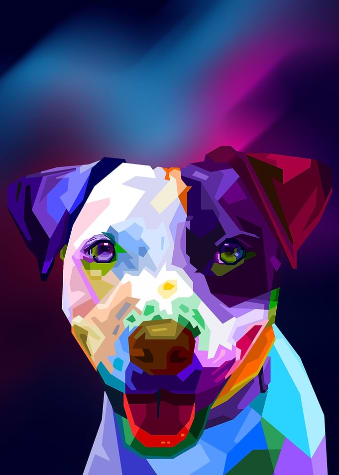 Cute colorful dog animal