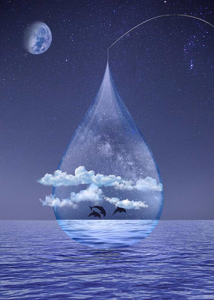 Starry Sky Ocean Dolphins