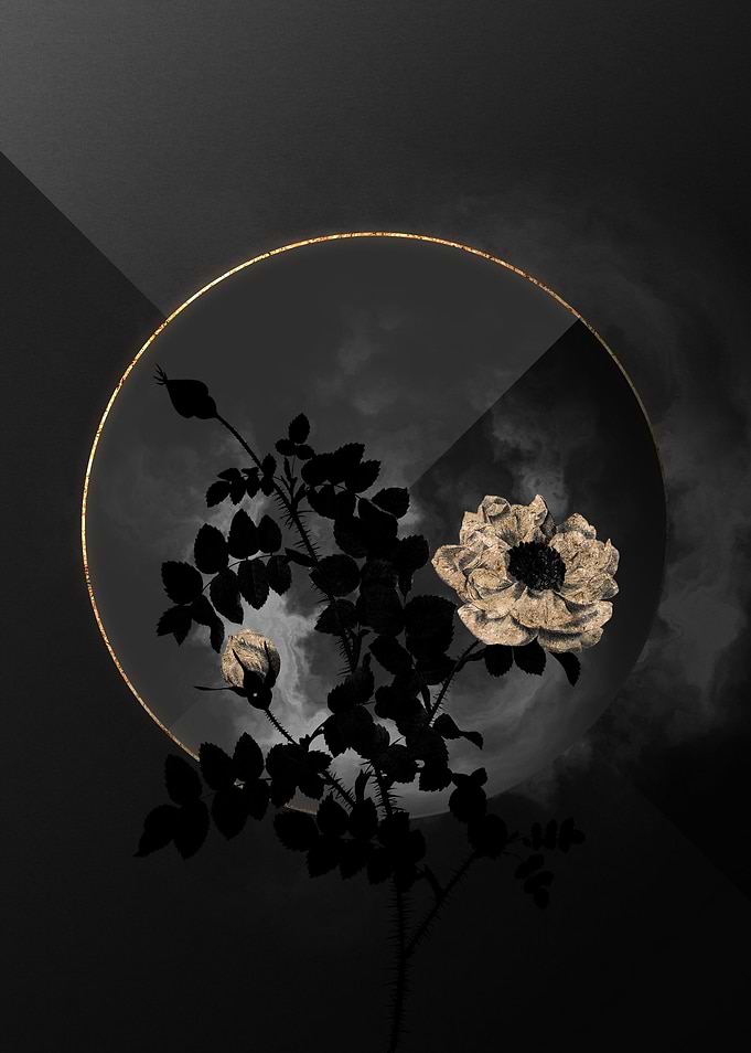 Shadow Rose Black and Gold