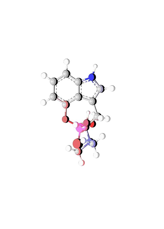 Psilocybin