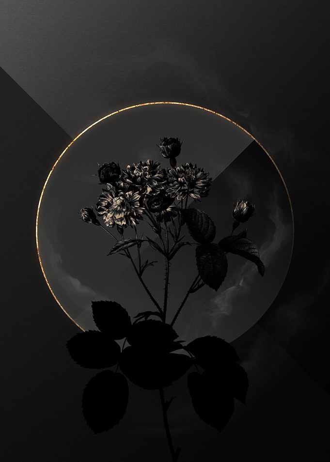 Shadow Rose Black and Gold