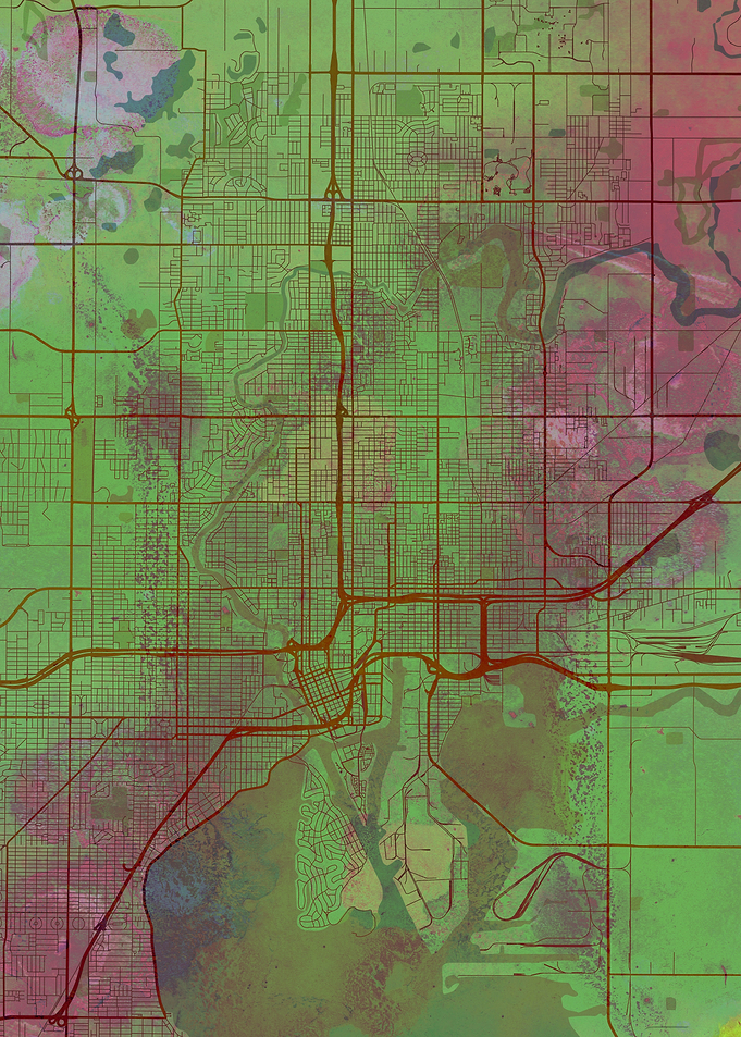 Tampa Street Map