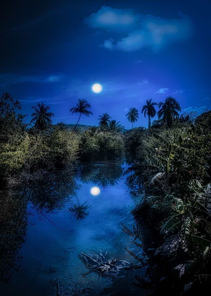 Pale moonlit night