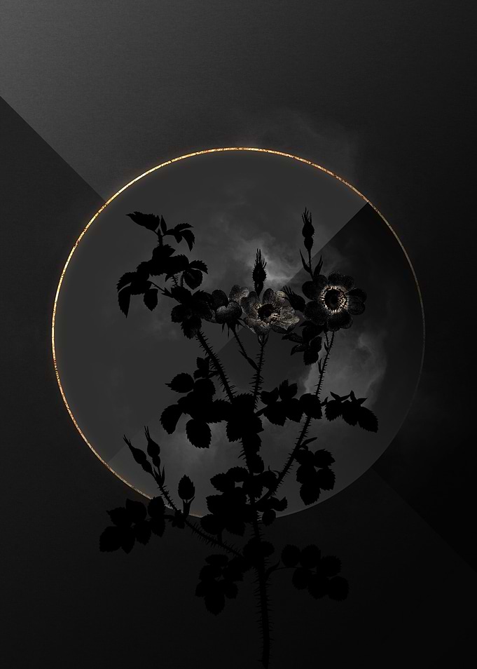 Dark Roses Black and Gold