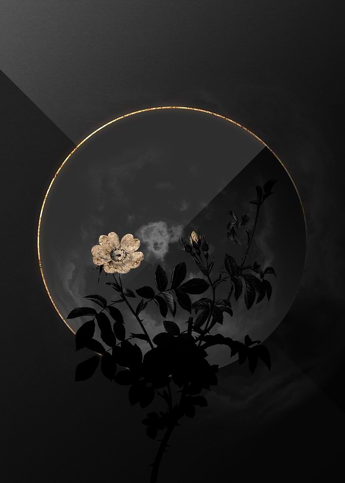 Shadow Rose Black and Gold