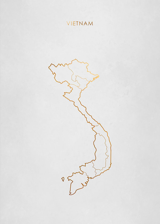 Gold Vietnam Map