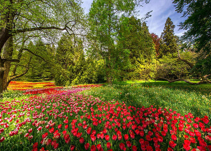 Nature