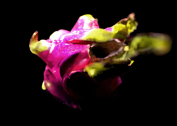 Dragon Fruit