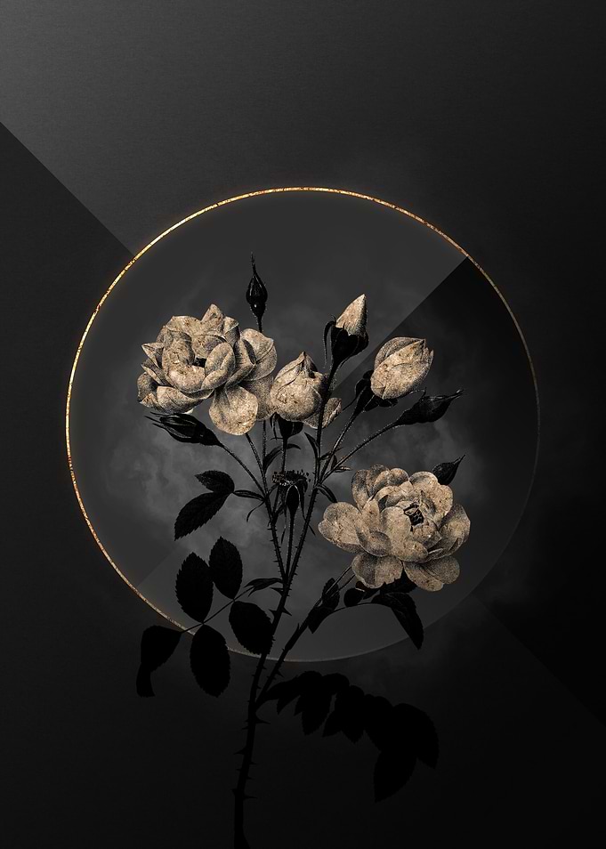 Shadow Rose Black and Gold