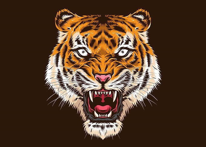Angry tiger head