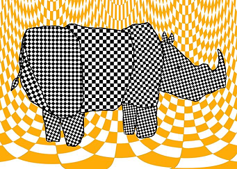 BW rhinoceros