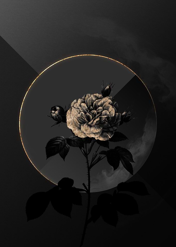 Shadow Rose Black and Gold