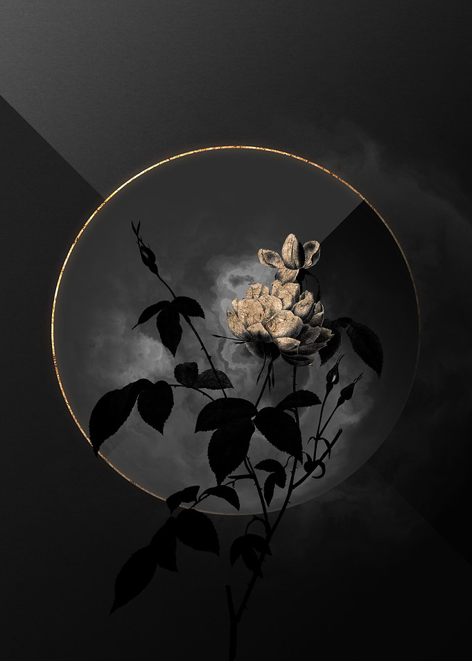 Shadow Rose Black and Gold