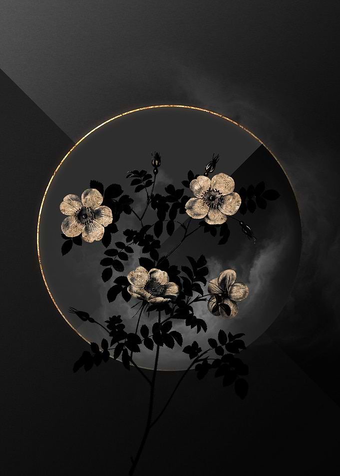 Shadow Rose Black and Gold