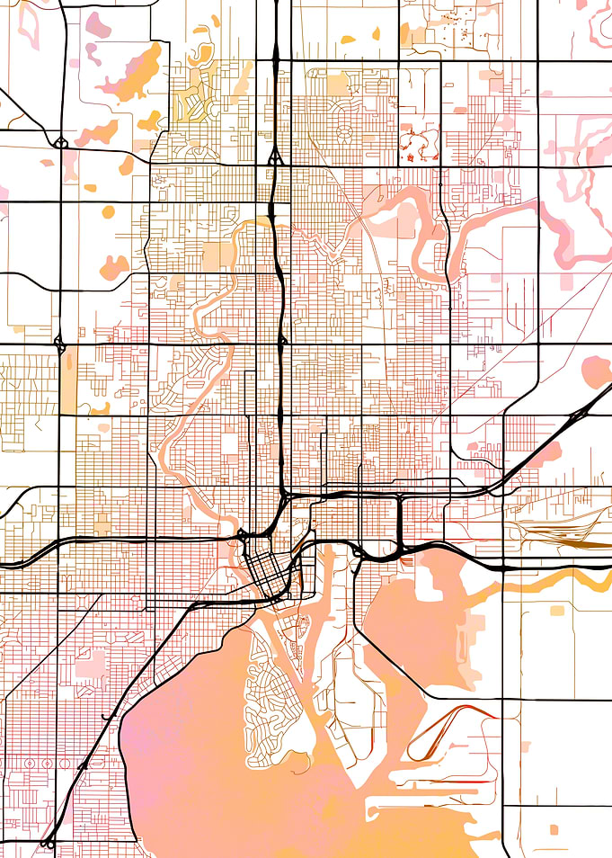Tampa Street Map