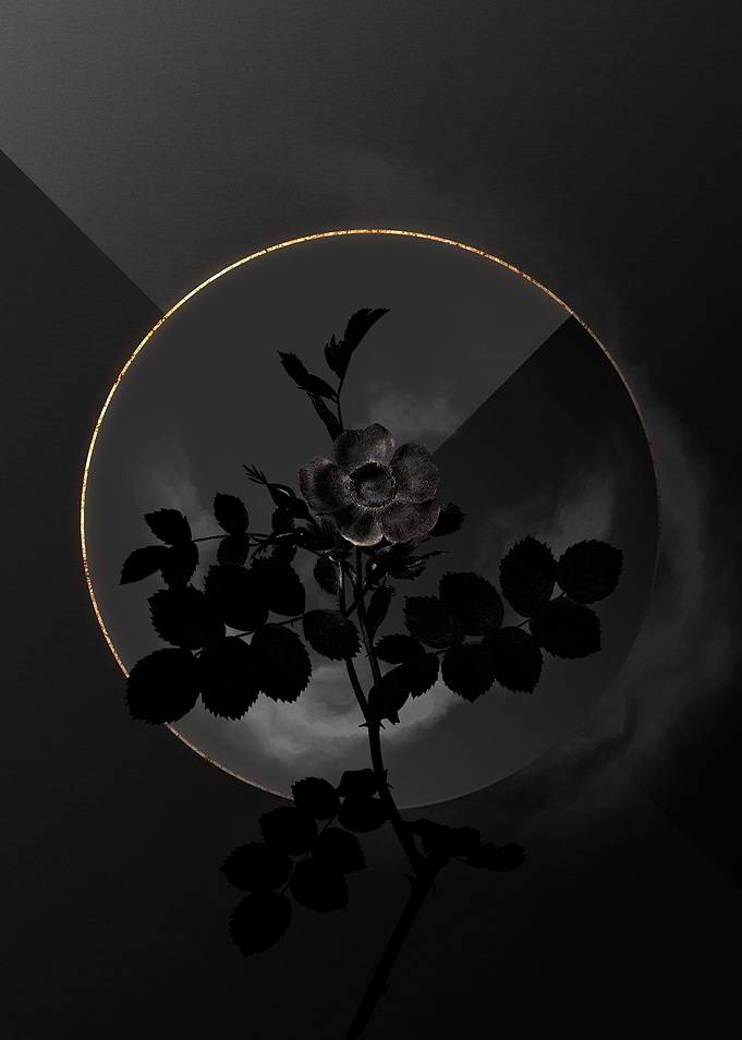 Dark Roses Black and Gold