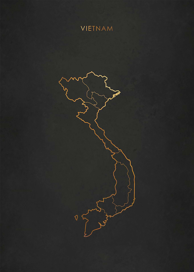 Gold Vietnam Map