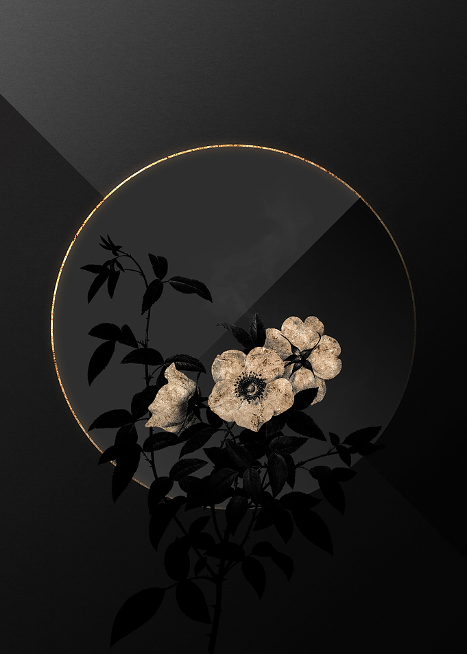 Shadow Rose Black and Gold