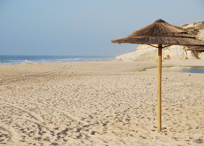 Beach Coconut Sea Tropi