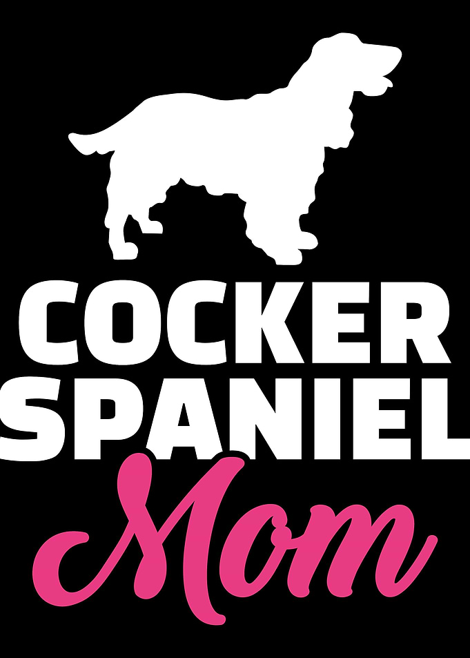 Cocker Spaniel