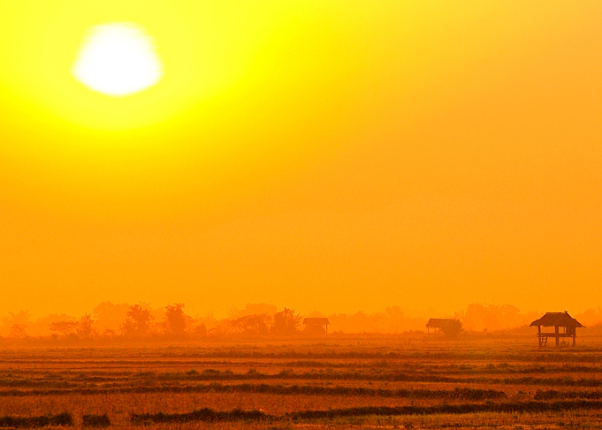 Agriculture Beautiful Beau