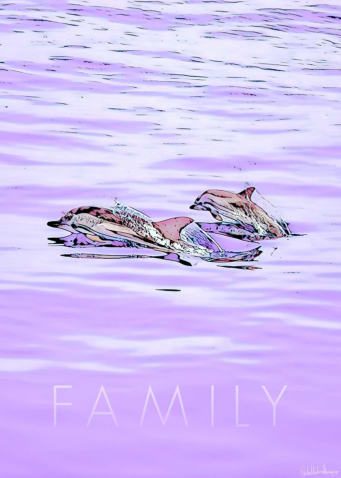 FAMILY Dolphins