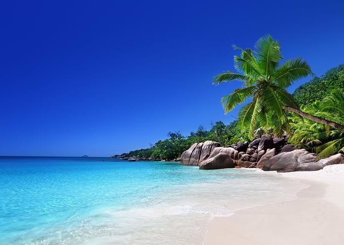 Say What Seychelles