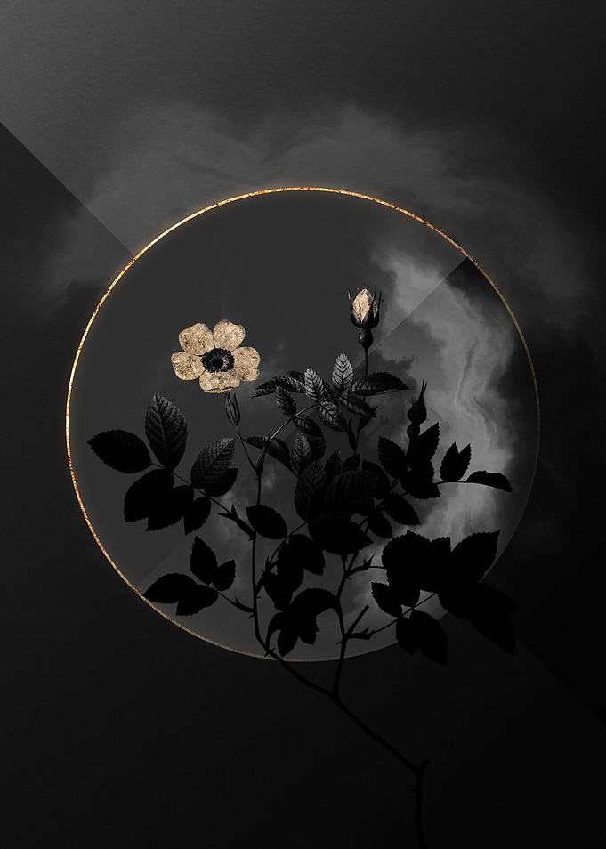 Shadow Rose Black and Gold