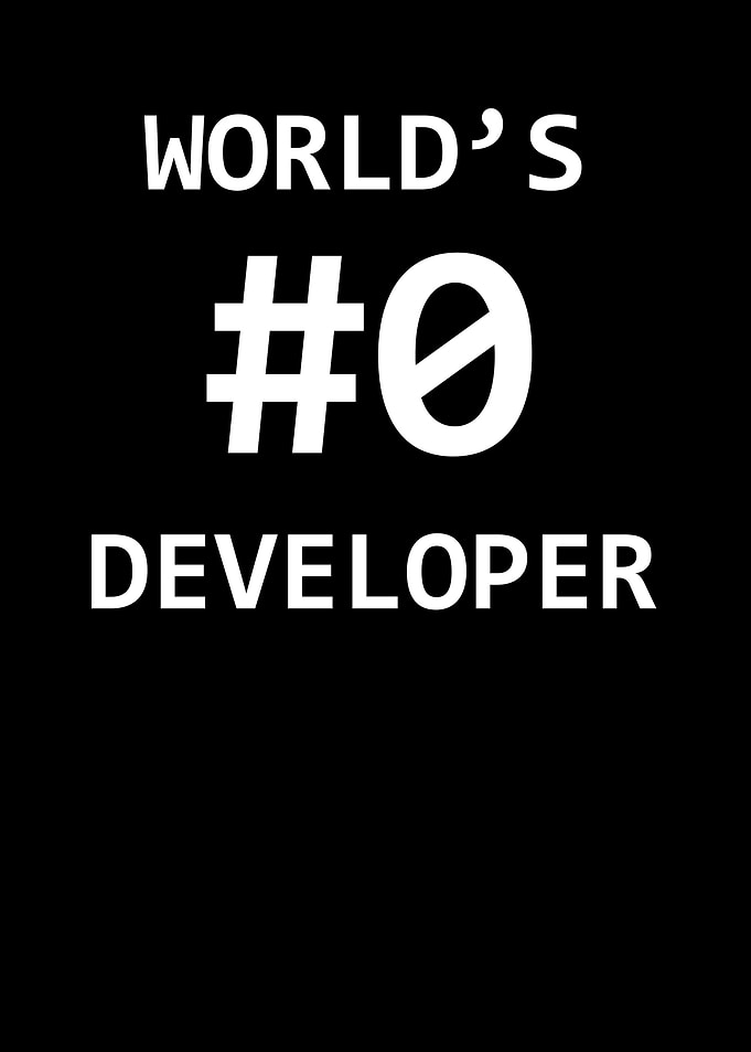 Software Developer