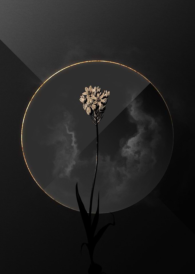 Dark Black and Gold Flower