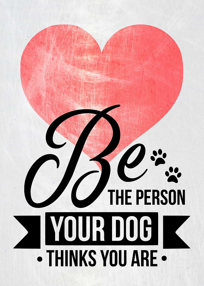 BE THE PERSON DOG METAL