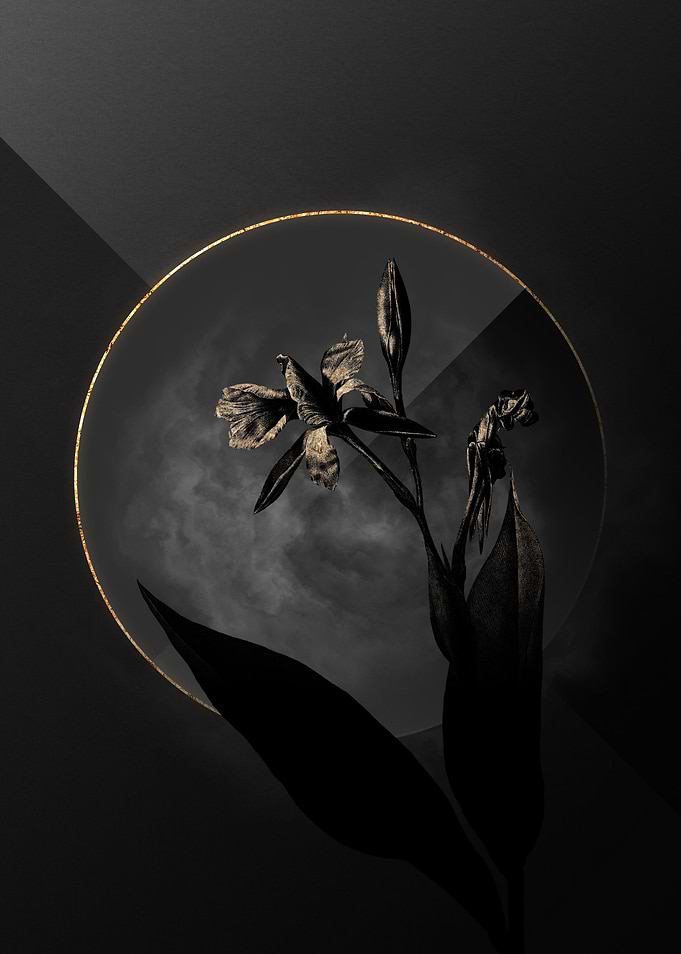 Black Eveglade rBandana