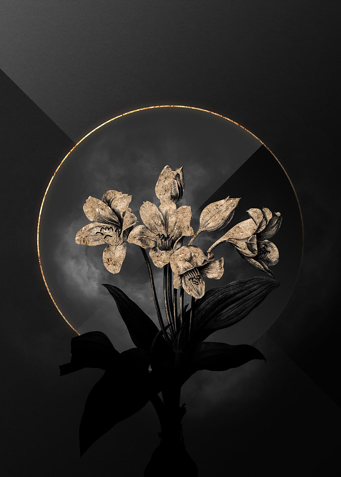 Dark Black and Gold Flower