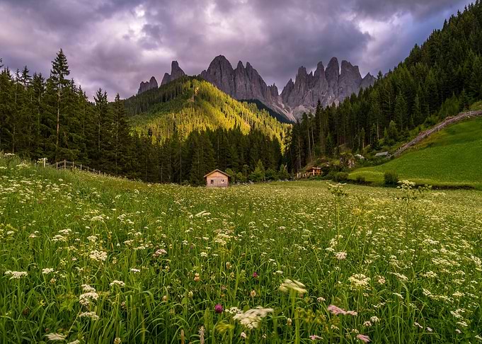 Nature