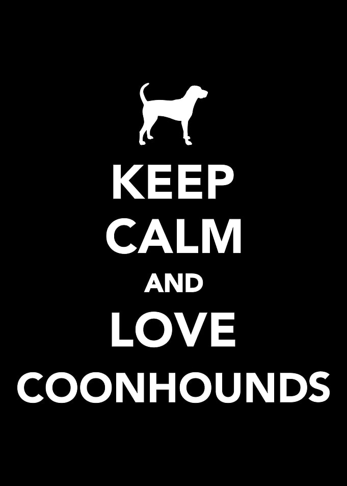 Coonhound