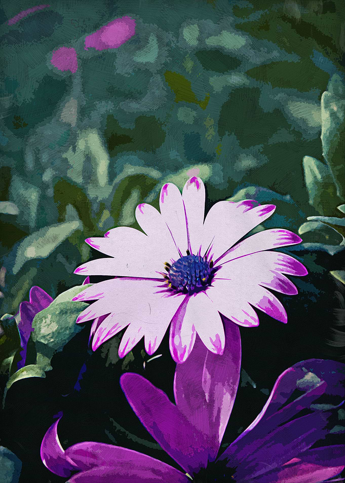 nature beauty flower