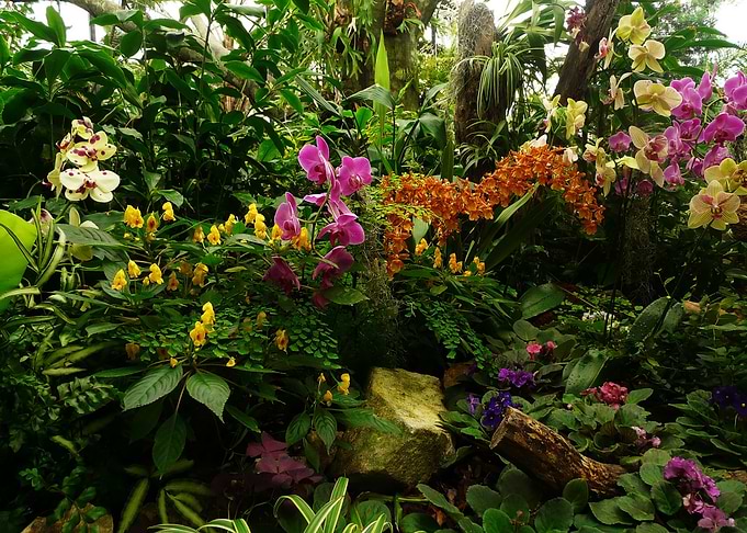 Nature