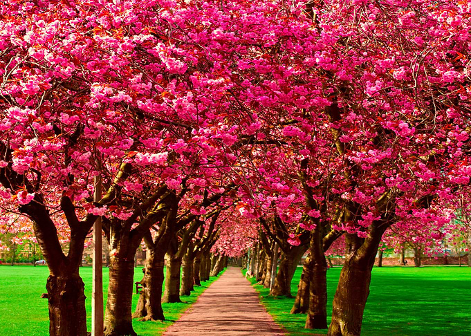 Nature